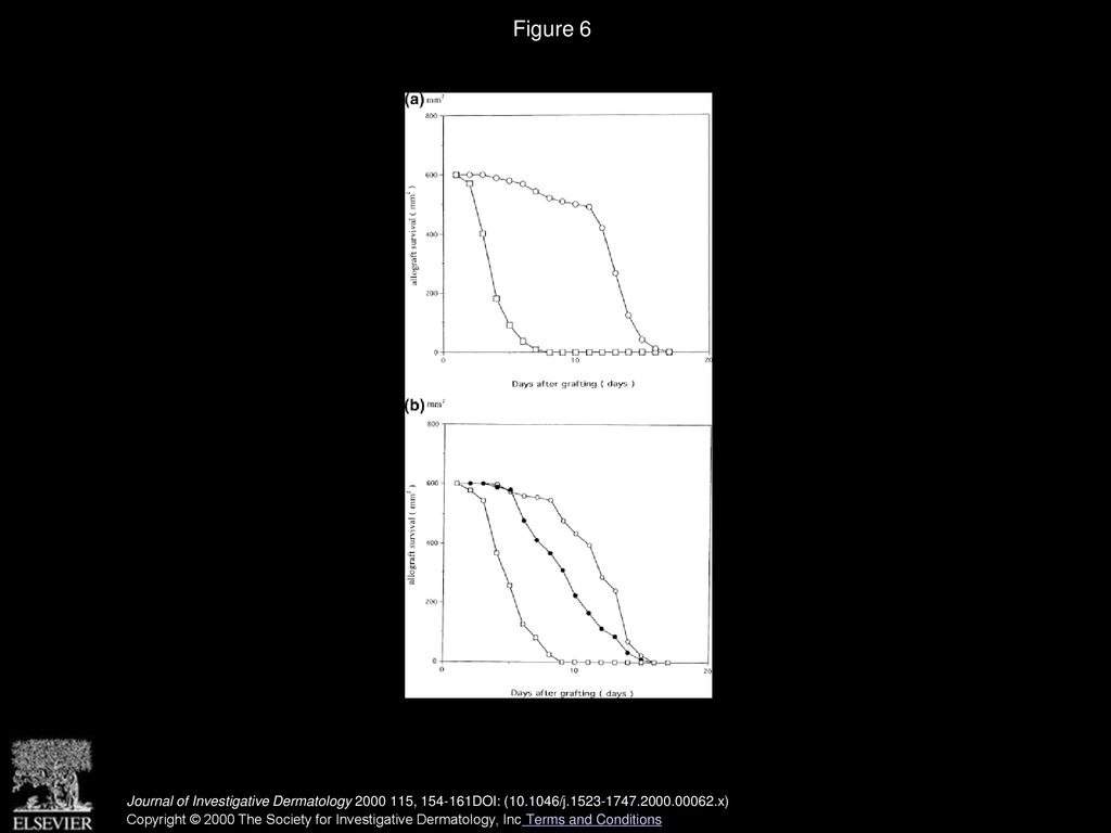 Selective Upregulation Of Fibroblast Fas Ligand Expression And